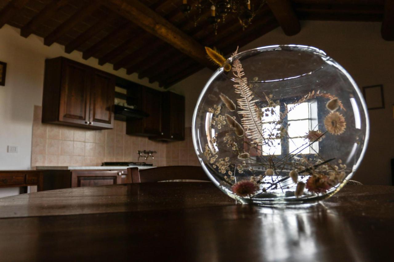Agriturismo Bombina Montisi ภายนอก รูปภาพ