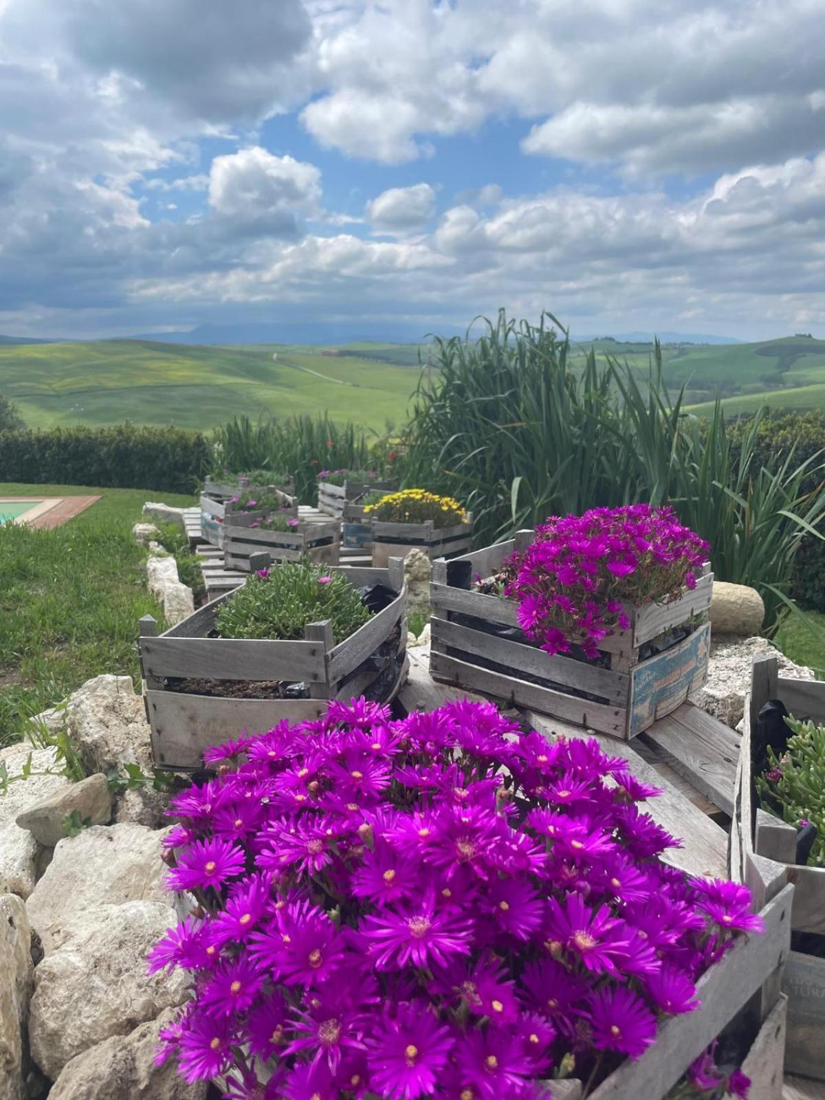 Agriturismo Bombina Montisi ภายนอก รูปภาพ